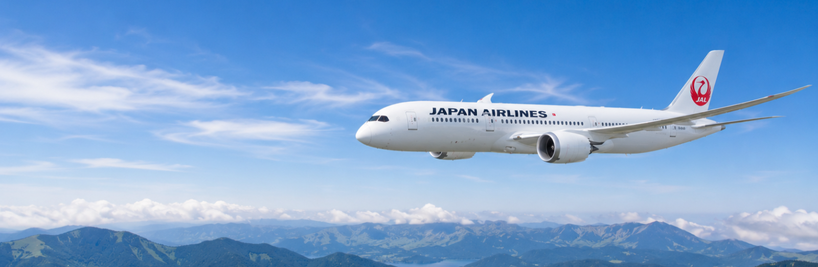 Airline banner background